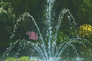 Sample image of a Watercastle Jet nozzle